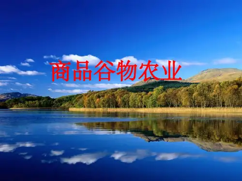 商品谷物农业ppt