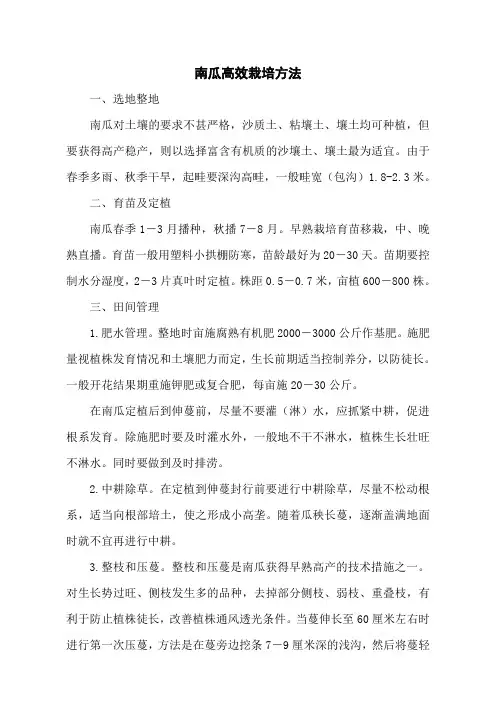 南瓜高效栽培方法