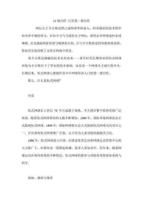 11级台阶 巨星第―级台阶
