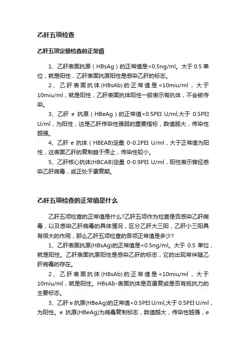 乙肝五项检查