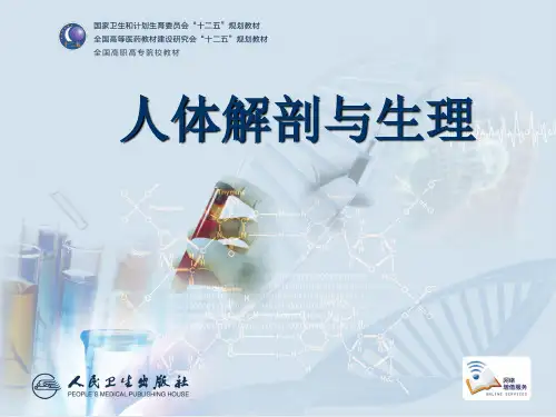第12章  人体的基本生理功能