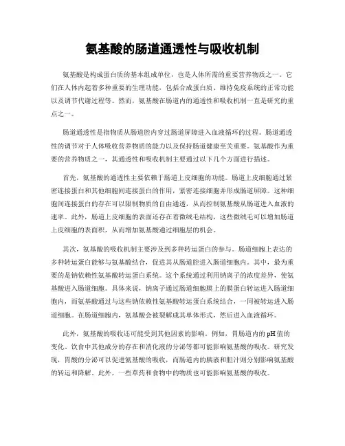 氨基酸的肠道通透性与吸收机制