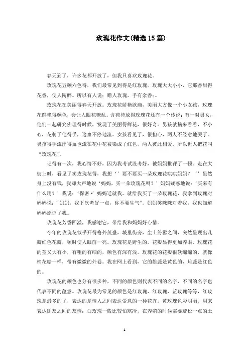 玫瑰花作文(15篇)范文精编