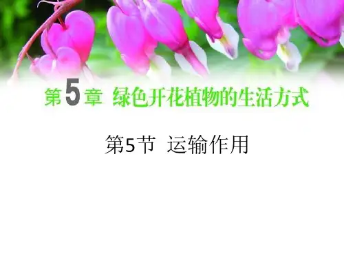 北师大版初中生物七上第三单元5.5《运输作用》课件(共26张PPT)