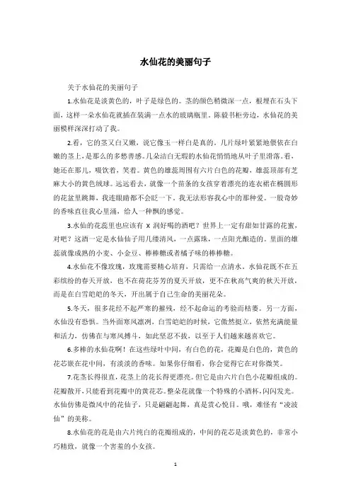 水仙花的美丽句子