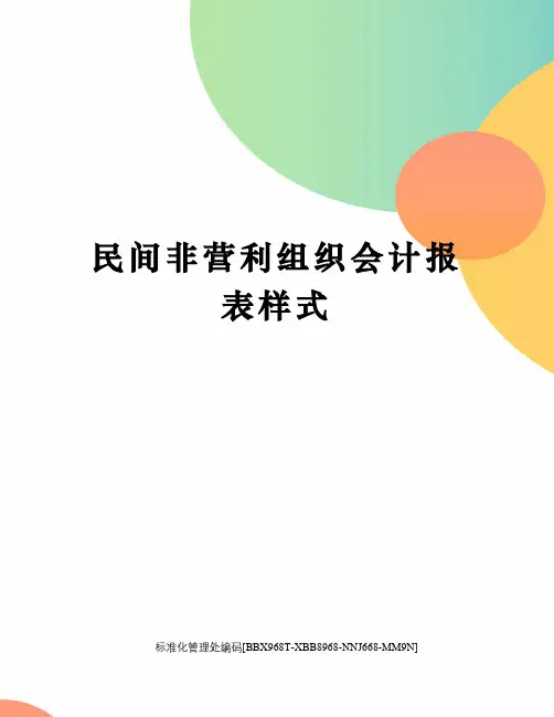 民间非营利组织会计报表样式