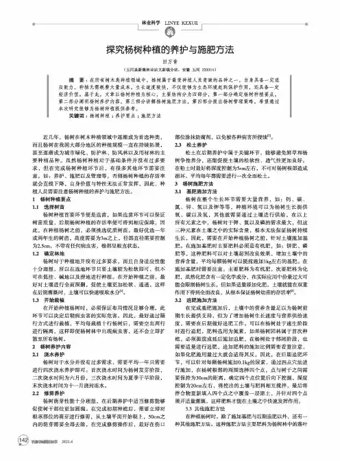 探究杨树种植的养护与施肥方法