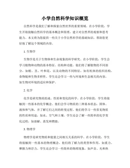 小学自然科学知识概览