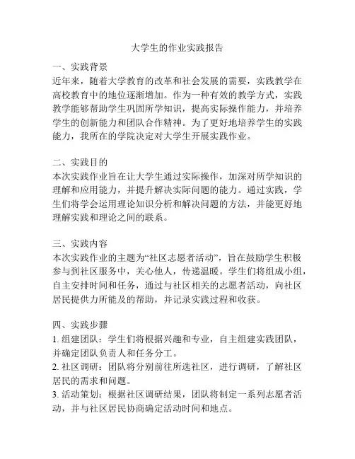 大学生的作业实践报告