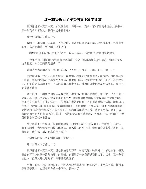 那一刻我长大了作文例文500字5篇
