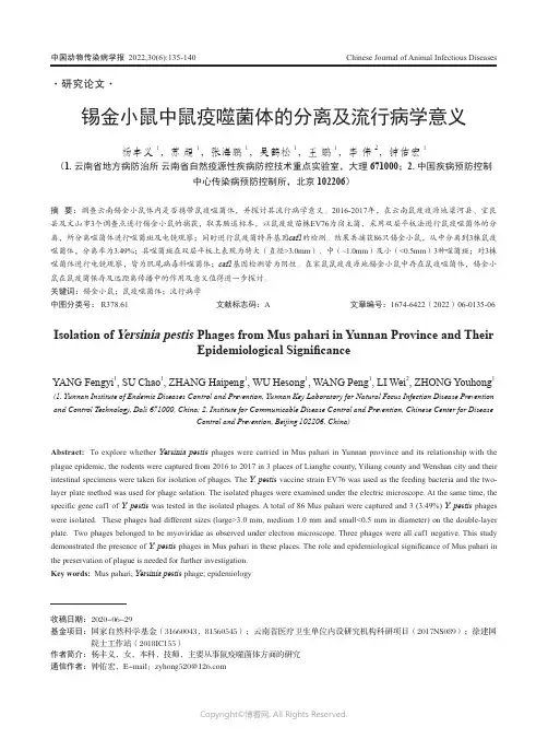 锡金小鼠中鼠疫噬菌体的分离及流行