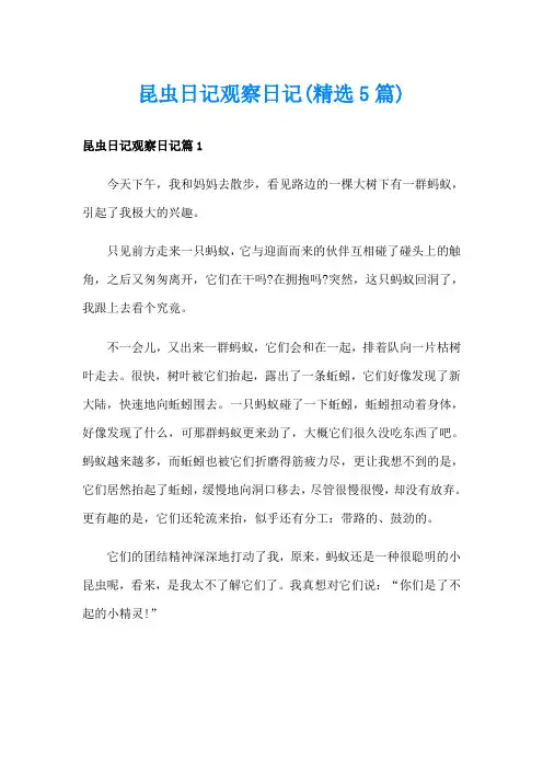 昆虫日记观察日记(精选5篇)