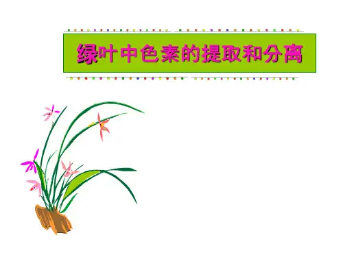 绿叶中色素的提取与分离说课课件