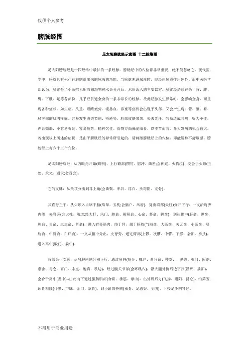 膀胱经图