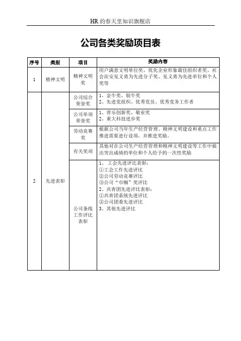 公司各类奖励项目表