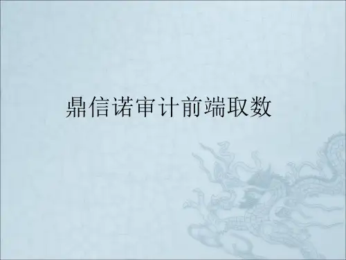 鼎信诺审计前端取数讲解(最新)
