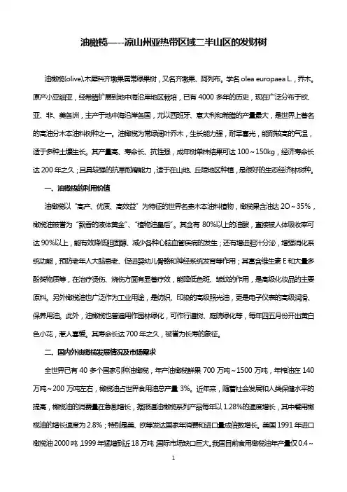 油橄榄--攀西亚热带区域的发财树