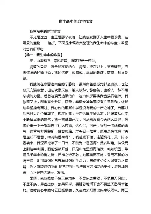 我生命中的珍宝作文