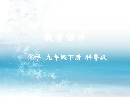 8最新科粤版初中化学九年级下册精品课件.4  常见的盐