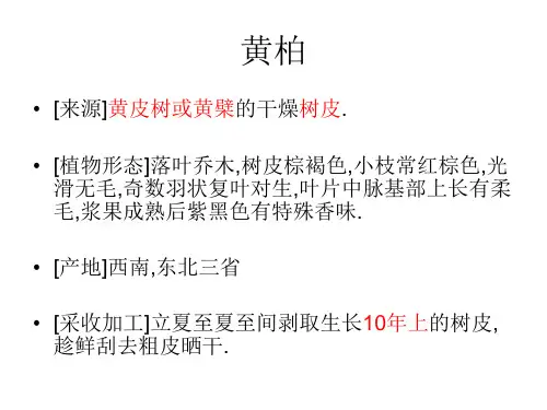 植物类生药第五章：黄柏,枳壳,乳香,没药