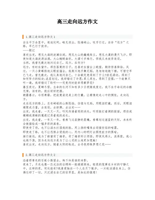 高三走向远方作文