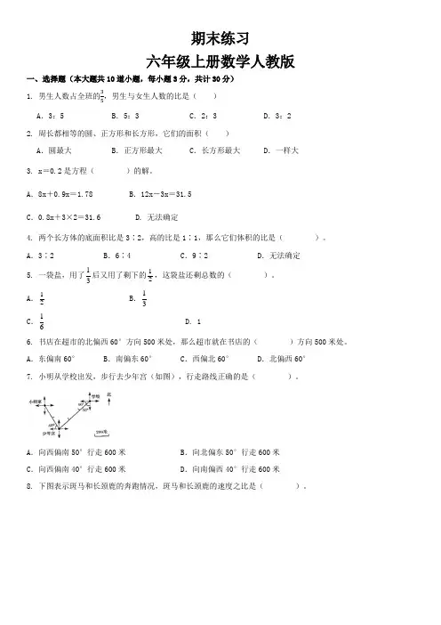 人教版六年级上册数学期末复习 (试题)  