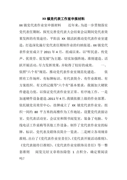 XX镇党代表工作室申报材料