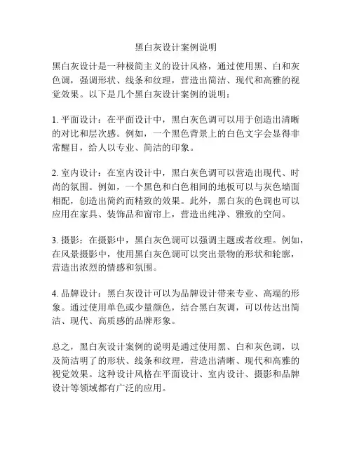 黑白灰设计案例说明
