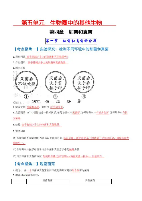 中考生物重点考点知识手册速查细菌和真菌、病毒(人教版)