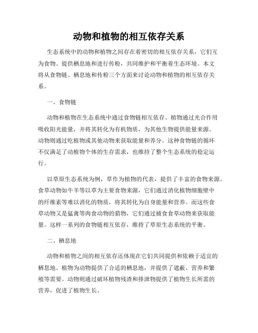 动物和植物的相互依存关系