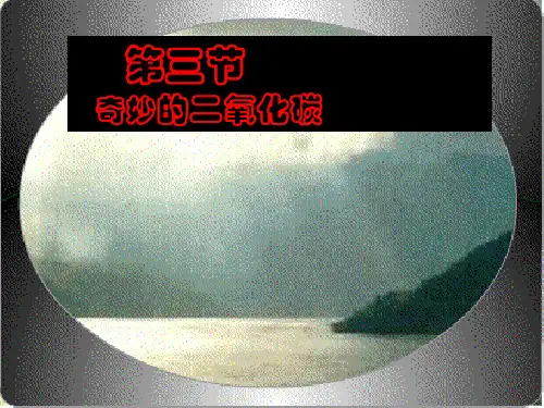 化学：2.3《奇妙的二氧化碳》课件(3)(沪教版九年级上)-18页精选文档