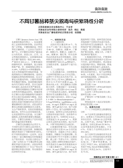 不同甘薯品种茎尖脱毒与快繁特性分析