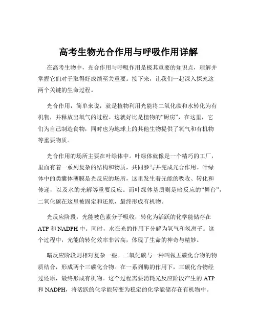 高考生物光合作用与呼吸作用详解