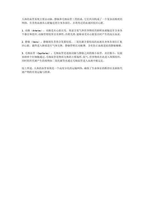 人体血管组成