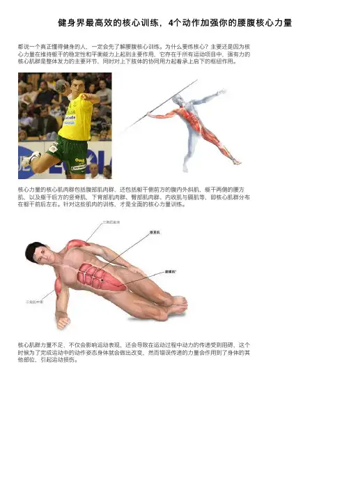 健身界最高效的核心训练，4个动作加强你的腰腹核心力量