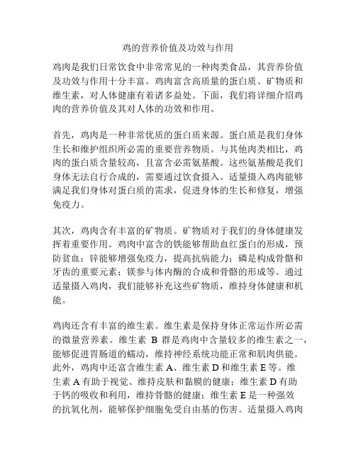 鸡的营养价值及功效与作用