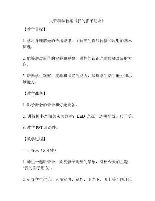 大班科学教案《我的影子朋友》