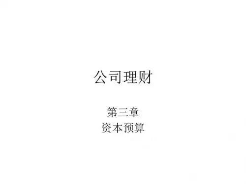 2019中央财经大学--公司金融课程讲解第3章.ppt