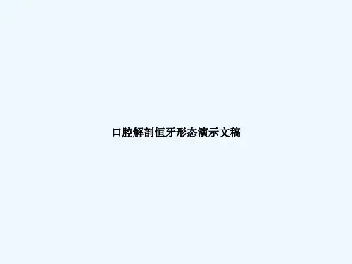 口腔解剖恒牙形态演示文稿