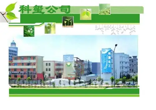 公司简介PPT (1)