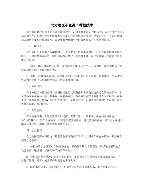 北方地区小麦高产种植技术