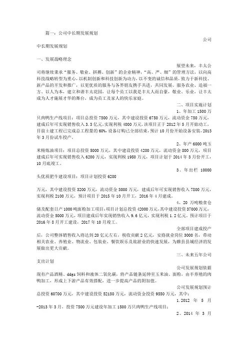 公司长期发展计划