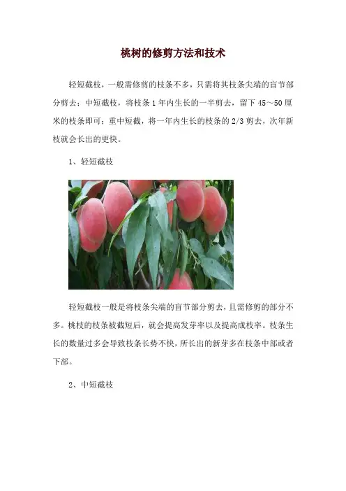 桃树的修剪方法和技术