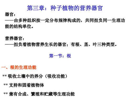 根