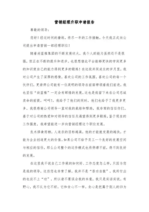 营销经理升职申请报告（2篇）