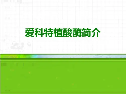 爱科特植酸酶简介精品PPT课件