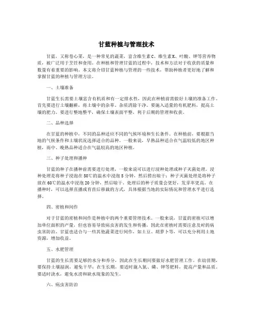 甘蓝种植与管理技术
