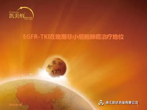 EGFR-TKI_晚期NSCLC治疗策略ppt课件