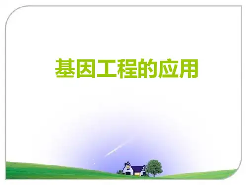 人教版-高中生物选修三：基因工程的应用