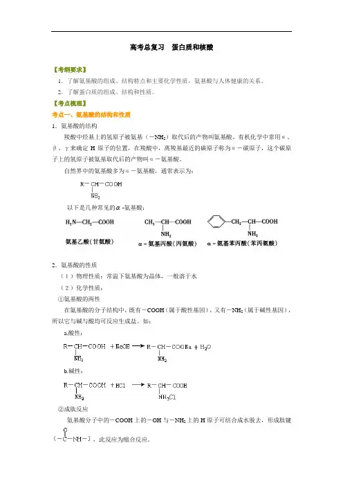 高中化学总复习之(基础)知识讲解 蛋白质 核酸-